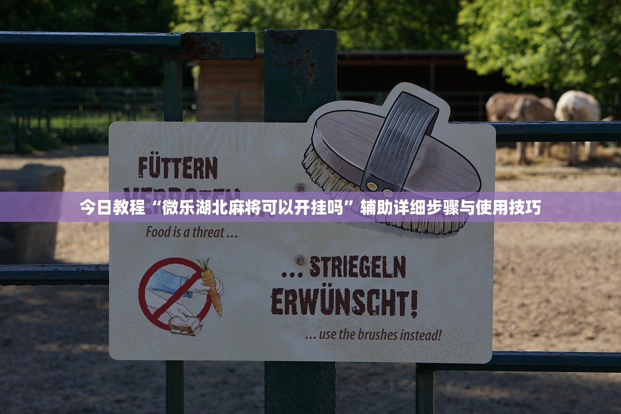 今日教程“微乐湖北麻将可以开挂吗”辅助详细步骤与使用技巧