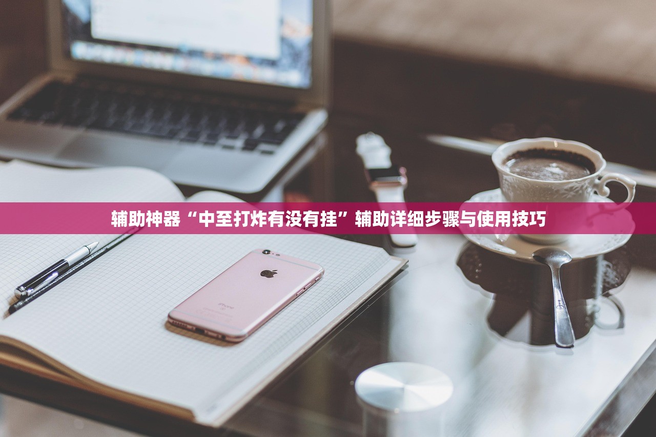 辅助神器“中至打炸有没有挂”辅助详细步骤与使用技巧